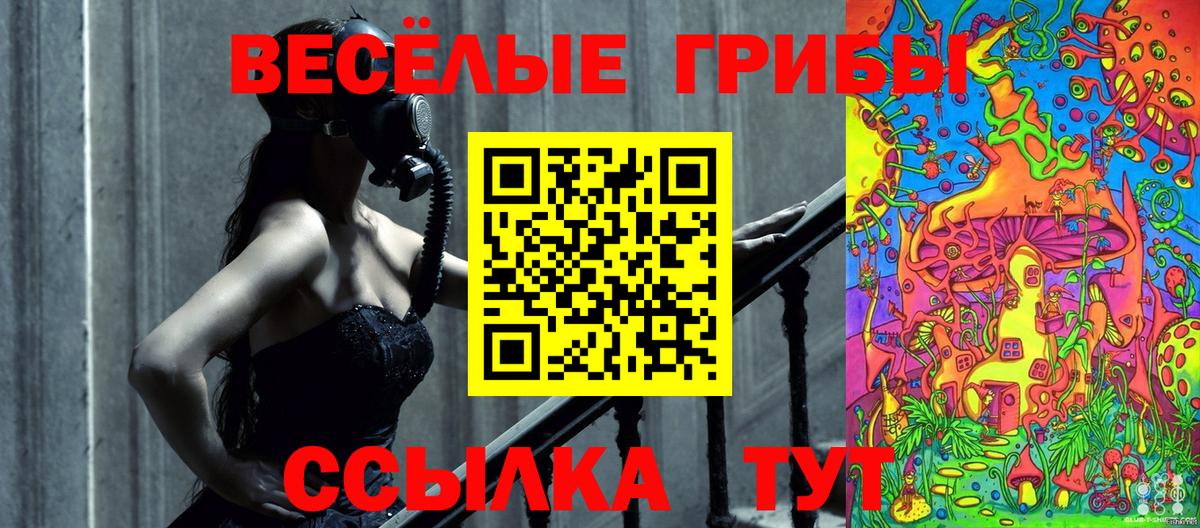 Качканар  Галлюциногенные грибы мицелий  купить  цена  Вход с VPN 