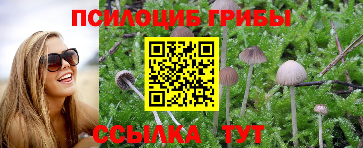 Галлюциногенные грибы ЛСД Качканар